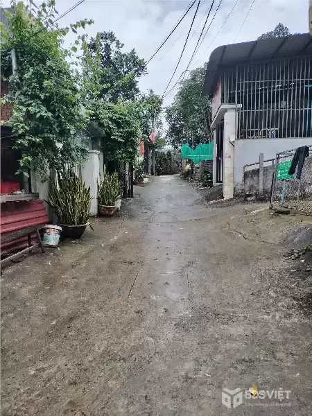 ???? ĐẤT ĐẸP – KIỆT Ô TÔ HÒA THỌ TÂY – 111,5m² – GIÁ CHỈ 2,68 TỶ!