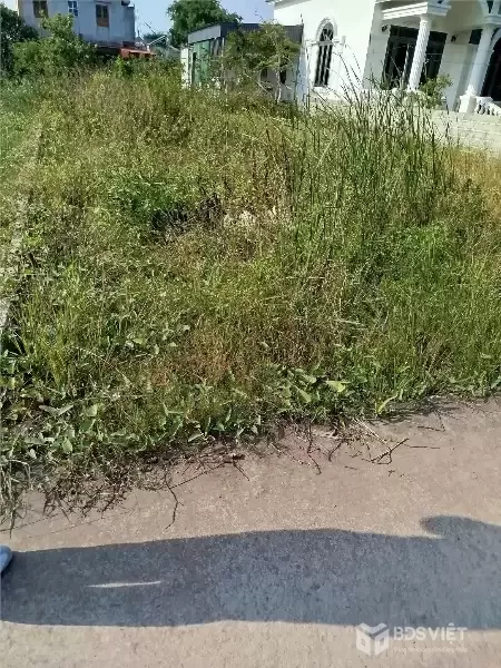 ĐẤT ĐOÀN XÁ – KIẾN THUỴ  101M2 ĐẤT BÌA + HƠN 150M2 ĐẤT LIỀN KỀ  DIỆN TÍCH LỚN HIẾM  ZALO 0567 222 555