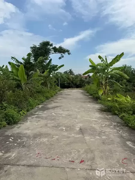 9xx TRIỆU  LÔ NGÕ 4M Ô TÔ TẢI  GẦN BIỂN ĐỒ SƠN – THANH KHOẢN TỐT  ZALO 0567 222 555