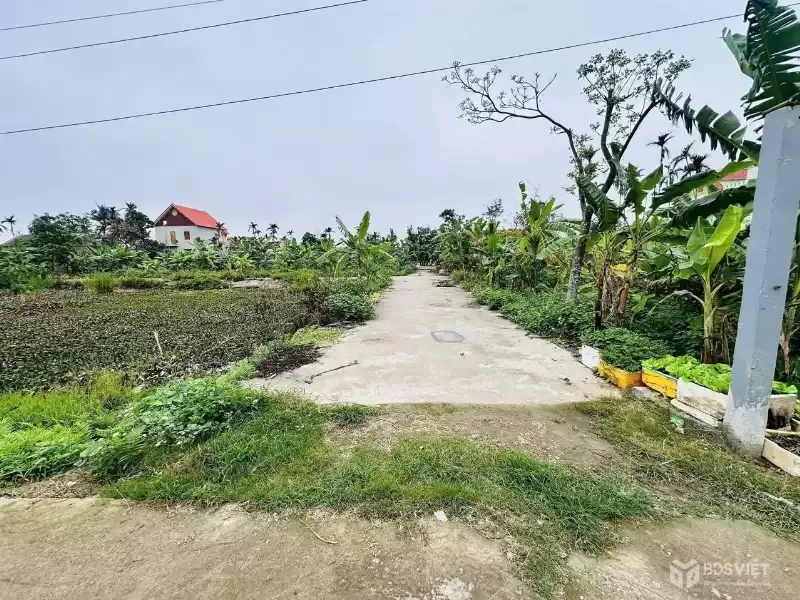 9xx TRIỆU  LÔ NGÕ 4M Ô TÔ TẢI  GẦN BIỂN ĐỒ SƠN – THANH KHOẢN TỐT  ZALO 0567 222 555