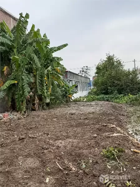 ĐẤT NGÕ 183 TÂN THÀNH  ĐƯỜNG 10M – HƯỚNG ĐÔNG  GIÁ CHỈ 2.X TỶ – HÀNG ĐẸP HIẾM  ZALO 0567 222 555