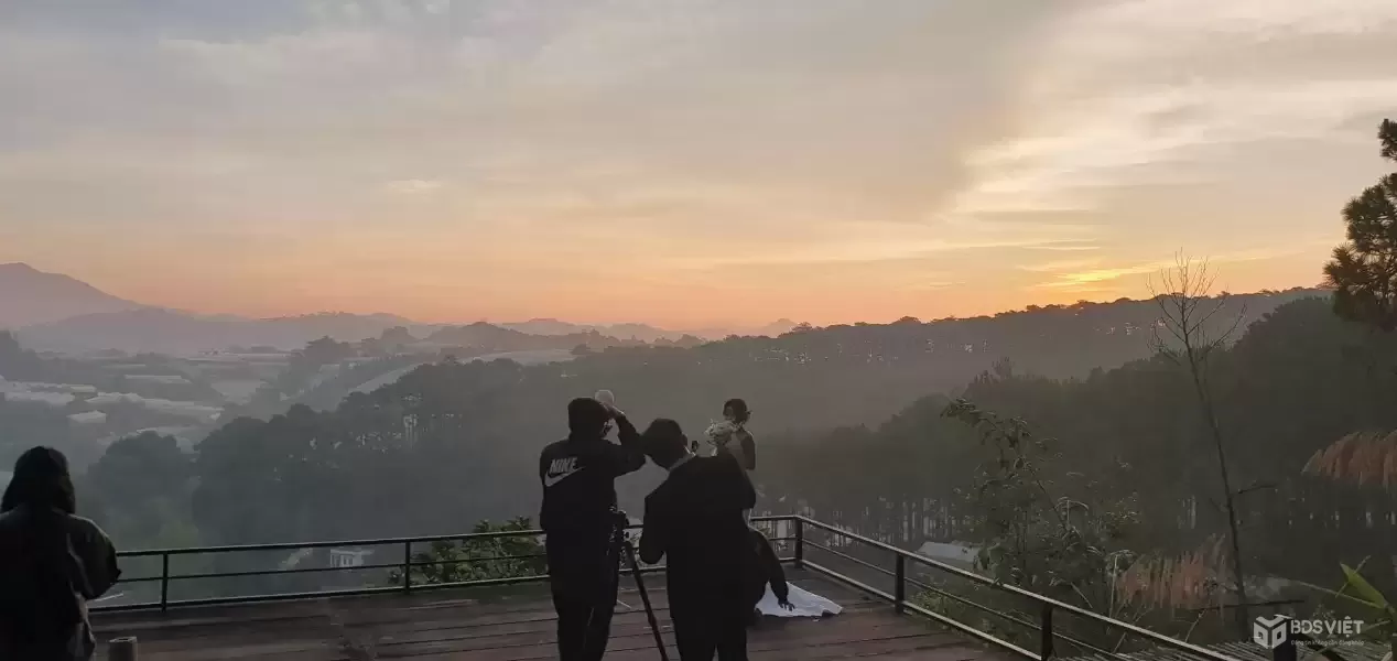 CHO THUÊ ĐẤT NÔNG NGHIỆP VIEW RỪNG THÔNG – P. CAM LY (P.5), ĐÀ LẠT