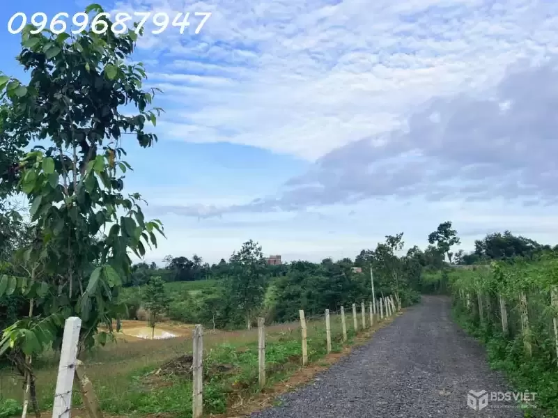 LÔ ĐẤT ĐỎ 1.3 HECTA - PHƯỜNG EAKAO - T. ĐĂK LĂK - 750TR/ SÀO