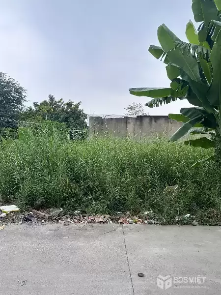 Cần bán đất ngang 7, SHR, KDC đầy đủ tiện ích, trường học, giá 1,9 tỷ, có dòng tiền cho thu