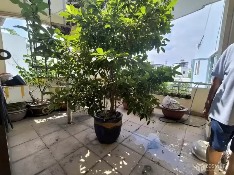 ????Chuẩn Bị Ra Nước Ngoài Sống rồi bán nhanh cái nhà 3 Tầng ÂU CƠ - P.10 - TÂN BÌNH