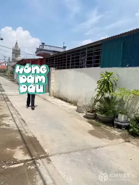 Lô góc 131m² trục đường 5m Kim Sơn – đón sóng KCN Tân Trào, giá 3,x tỷ  ZALO 0567 222 555