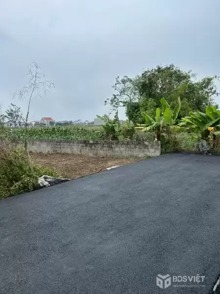 LÔ ĐẤT THÙ DU MINH TÂN – GIÁ RẺ KHU VỰC, NGÕ NHỰA 4M, ĐÓN SÓNG HẠ TẦNG  ZALO 0567 222 555