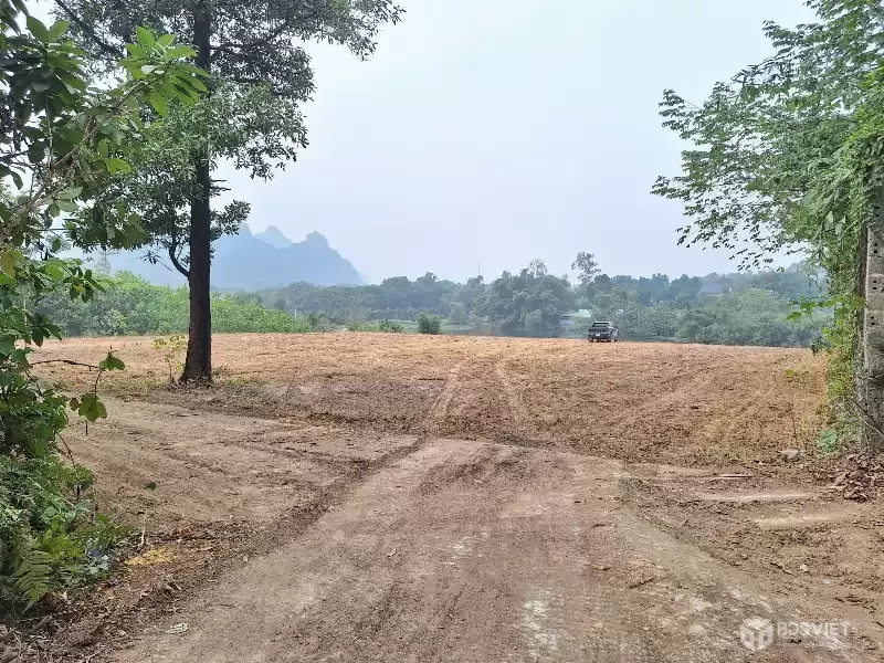 CẦN CHUYỂN NHƯỢNG SIÊU PHẨM 3200M BÁM HỒ ĐỒNG TRANH , LIÊN SƠN ,HÒA BINH CŨ