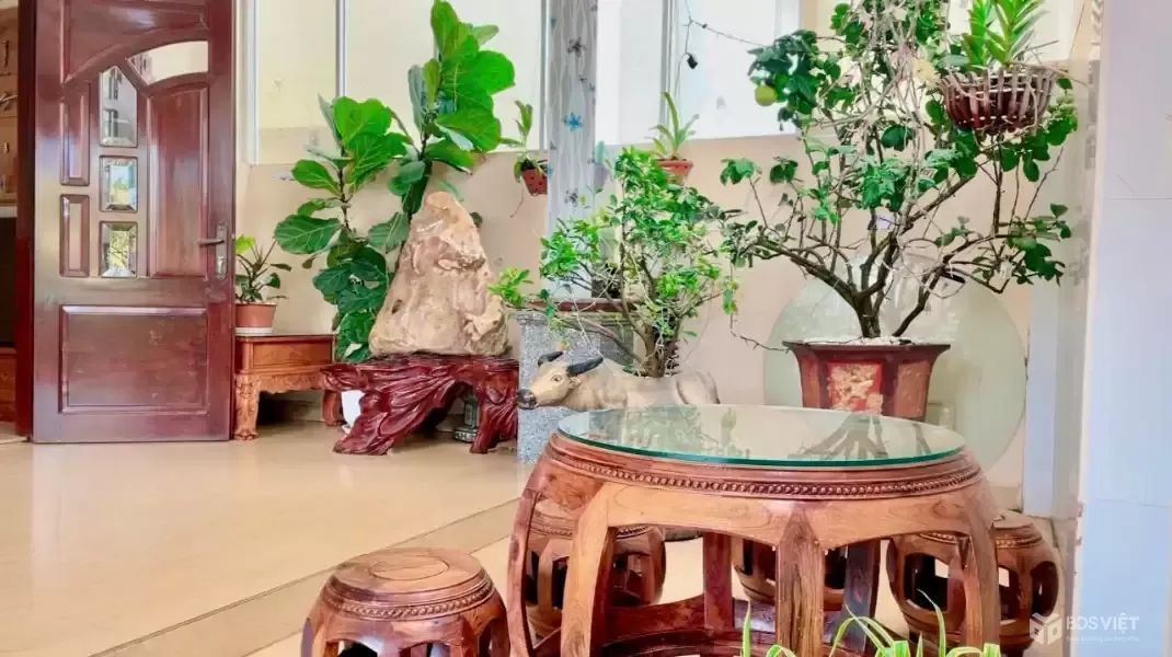 Cho thuê nhà nguyên căn Phan Chu Trinh Phường 9 Đà Lạt giá 22 triệu