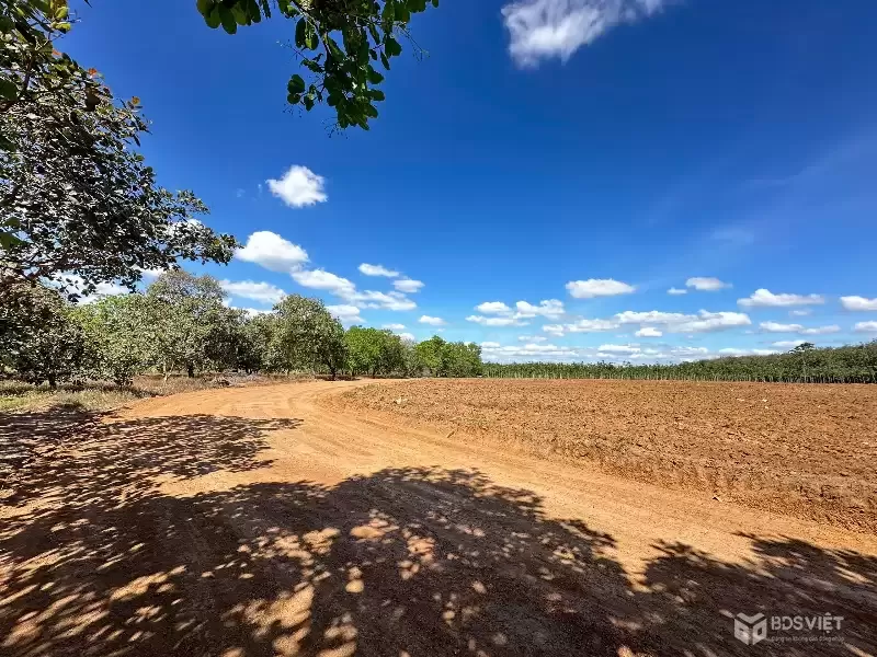 Bán lô đất ngay tuyến số 2 xuyên tâm, 3307m2, giá 300tr, công chứng ngay