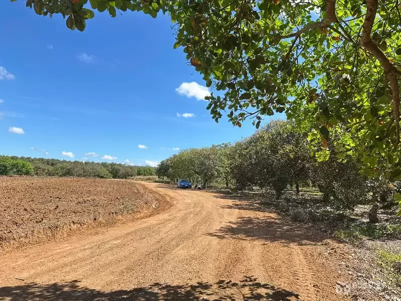 Bán lô đất ngay tuyến số 2 xuyên tâm, 3307m2, giá 300tr, công chứng ngay