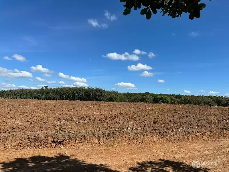 Bán lô đất ngay tuyến số 2 xuyên tâm, 3307m2, giá 300tr, công chứng ngay