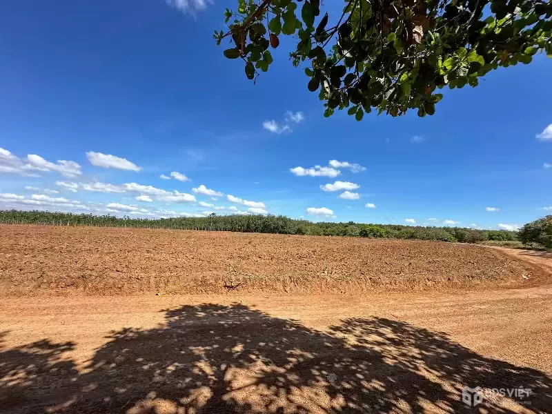 Bán lô đất ngay tuyến số 2 xuyên tâm, 3307m2, giá 300tr, công chứng ngay