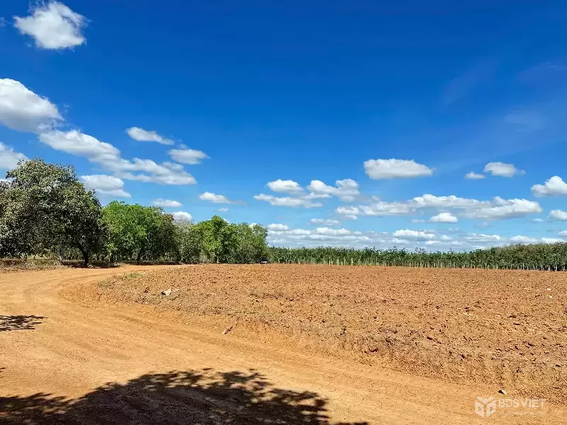 Bán lô đất ngay tuyến số 2 xuyên tâm, 3307m2, giá 300tr, công chứng ngay