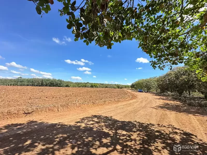 Bán lô đất ngay tuyến số 2 xuyên tâm, 3307m2, giá 300tr, công chứng ngay