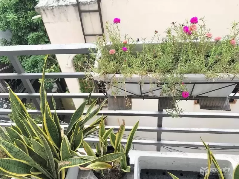 BÁN NHÀ CĂN SỐ 1 ĐƯỜNG XÓM CHIẾU,Cách hẻm xe hơi 10 bước chân, sát mặt tiền