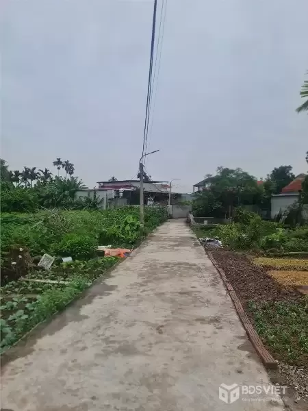 Giá 1,x tỷ  Lô nhà vườn tuyến 2 Hòa Nghĩa – Gần khu Vin  Có thêm đất 03 phía sau  ZALO 0567 222 555