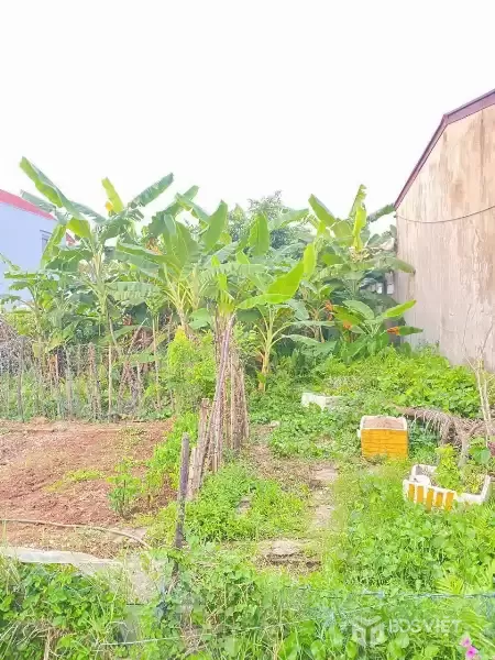 GIÁ 2,0XX TỶ – LÔ ĐẤT NGÕ 199 TÂN THÀNH, 100M² VUÔNG VẮN, MỨC GIÁ THAM KHẢO TỐT  ZALO 0567 222 555