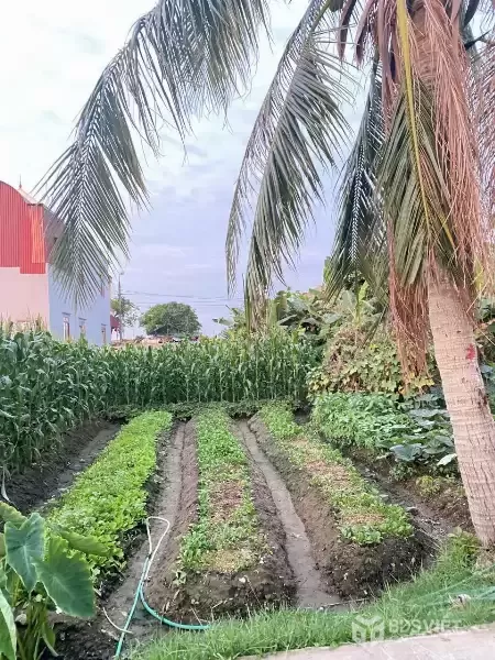 GIÁ 2,0XX TỶ – LÔ ĐẤT NGÕ 199 TÂN THÀNH, 100M² VUÔNG VẮN, MỨC GIÁ THAM KHẢO TỐT  ZALO 0567 222 555