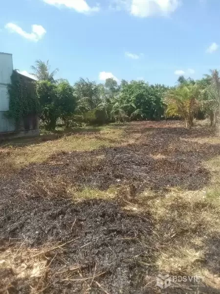 CẦN BÁN 1056M2 THỔ CƯ MT ĐƯỜNG TÂN LONG TÂN NHỰT