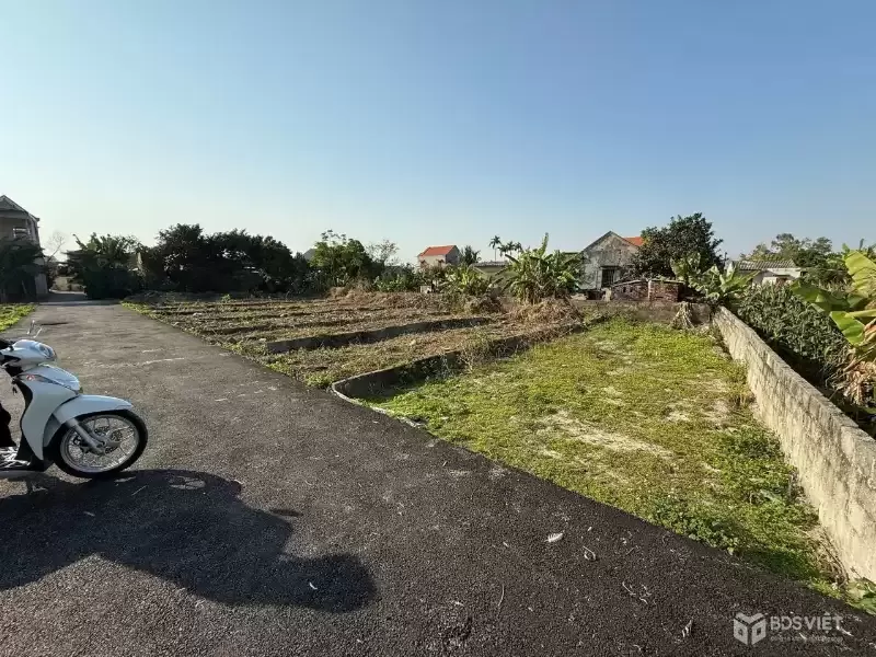 Bán đất Thù Du Minh Tân 98m² – ngõ nhựa 4m hiếm khu phân lô, giá chỉ 8xx triệu  Đón sóng hạ tầng  ZALO 0567 222 555