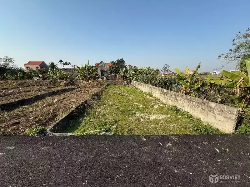 Bán đất Thù Du Minh Tân 98m² – ngõ nhựa 4m hiếm khu phân lô, giá chỉ 8xx triệu  Đón sóng hạ tầng  ZALO 0567 222 555