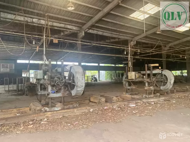 CHO THUÊ NHÀ XƯỞNG – HƯNG HÒA, BẾN CÁT, BD – 29.220m²