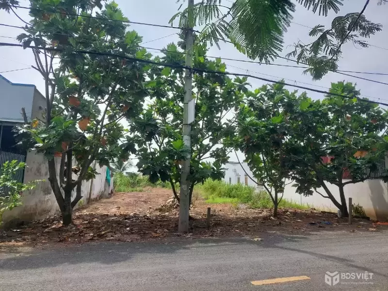 CẦN BÁN 924M2 ĐẤT THÔ CƯ MT ĐƯỜNG TRƯƠNG VĂN ĐA BÌNH LỢI