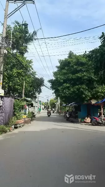 CẦN BÁN 262M2 KHO MT ĐƯỜNG BẦU GỐC ĐANG CHO THUÊ 15TR