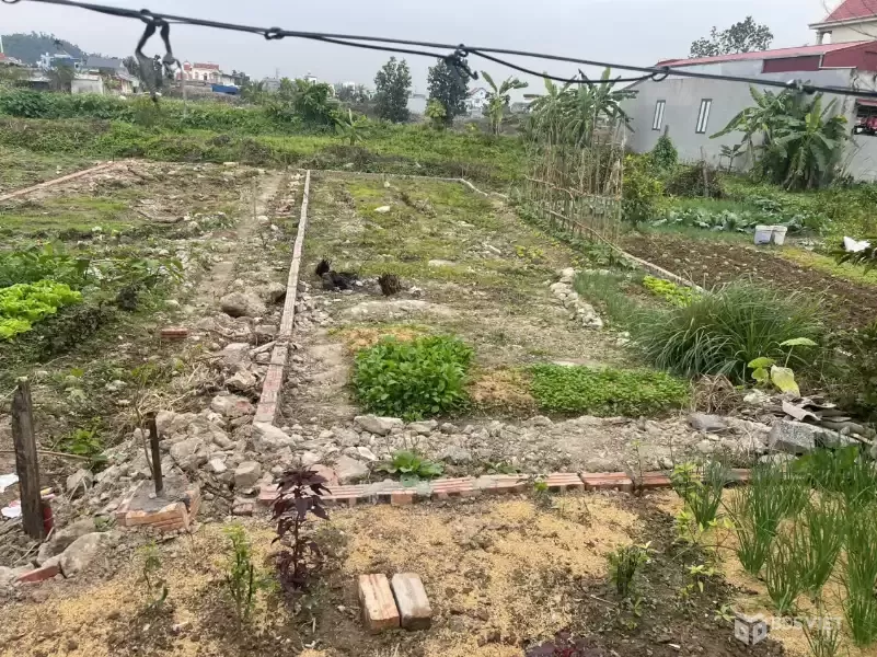 KIM ĐỚI 2 HỮU BẰNG KIẾN THỤY – GIÁ 1 TỶ 7xx – LÔ ĐẤT ĐẸP KHU DÂN CƯ  ZALO 0567 222 555