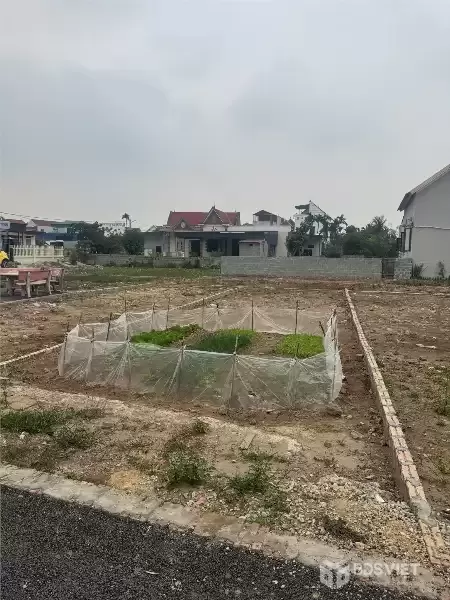 Bán đất Đoàn Xá Kiến Hải mặt đường thôn giá đầu tư hiếm gần tuyến 404  ZALO 0567 222 555