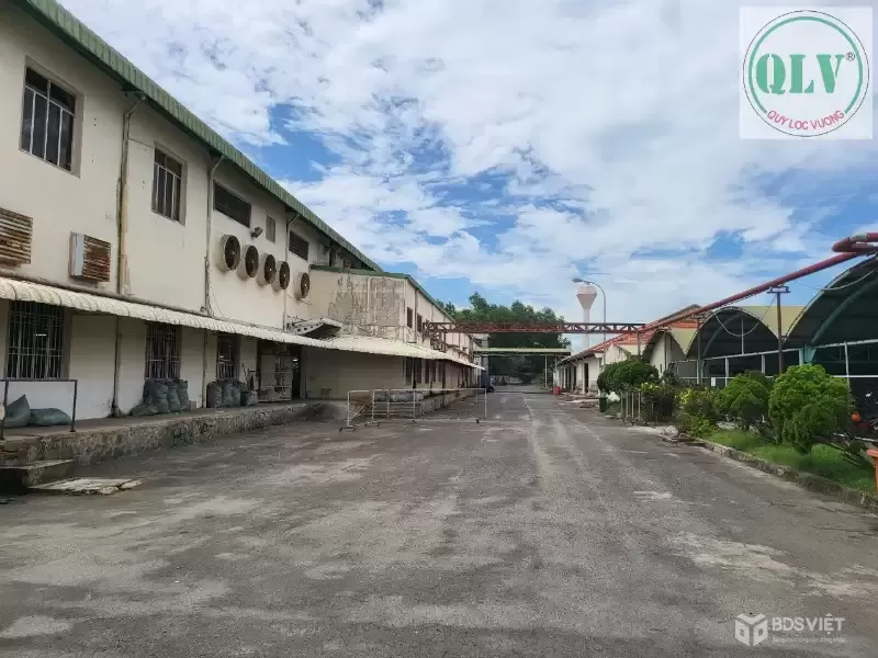 BÁN/CHO THUÊ NHÀ XƯỞNG – KCN TRẢNG BÀNG, TN – 11.515m²