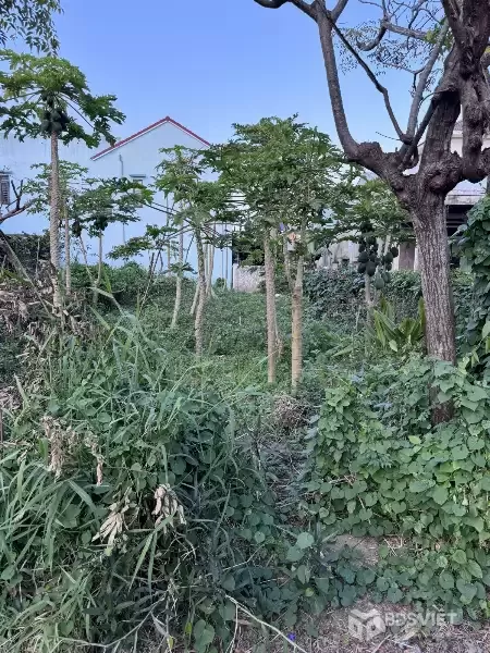 Bán đất mặt tiền Trần Nhân Tông Cẩm Thanh, 200m², trục du lịch Hội An, giá 6,5 tỷ