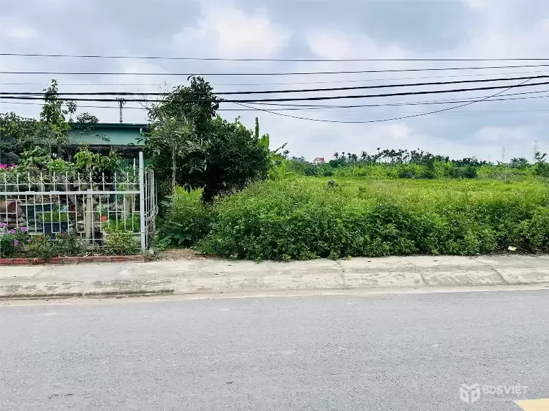 Giá 2.5x tỷ – Lô 149,8m² mặt đường nhựa TDP Quyết Tiến Hợp Đức, trục to hiếm  ZALO 0567 222 555