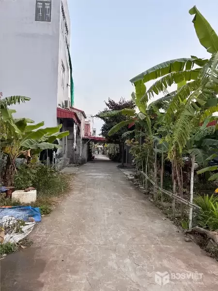 BÁN LÔ 100M² TÂN THÀNH – DƯƠNG KINH  GIÁ 2,1X TỶ – ĐƯỜNG QUY HOẠCH 5M – KHU DÂN CƯ ỔN ĐỊNH  ZALO 0567 222 555