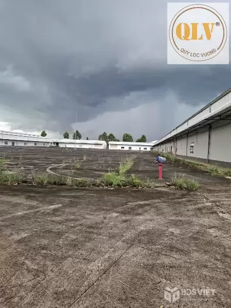 BÁN NHÀ XƯỞNG – TRẢNG BOM, ĐỒNG NAI – 40.313m²