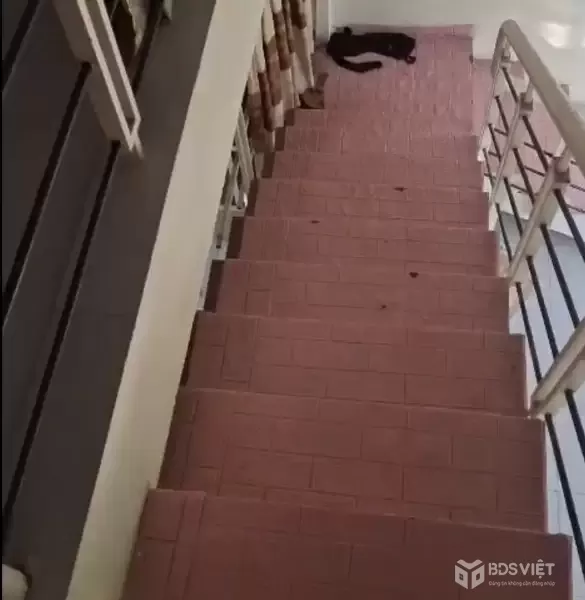 ♥ Cho thuê nhà MT Phó Đức Chính - Chính Hữu Nối Dài, 130m2, C4, 2pn 2WC, 7 triệu