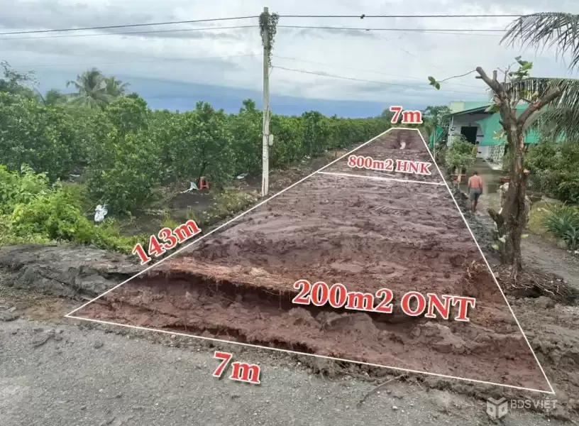 Bán đất mặt tiền ĐT 818 , xã Tân Thành, Thủ Thừa tdt 1000m2 ( 200m2 thổ ) giá 2,7 tỷ