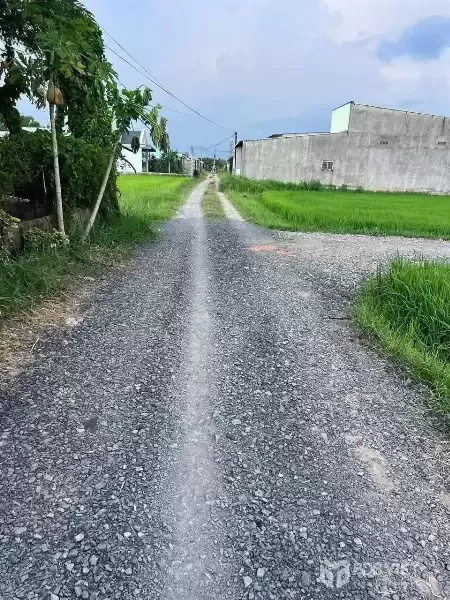 Bán 2 nền thổ cư liền kề xã Hòa Khánh Đông , Đức Hòa dt 160m2 giá 800 triệu 1 nền