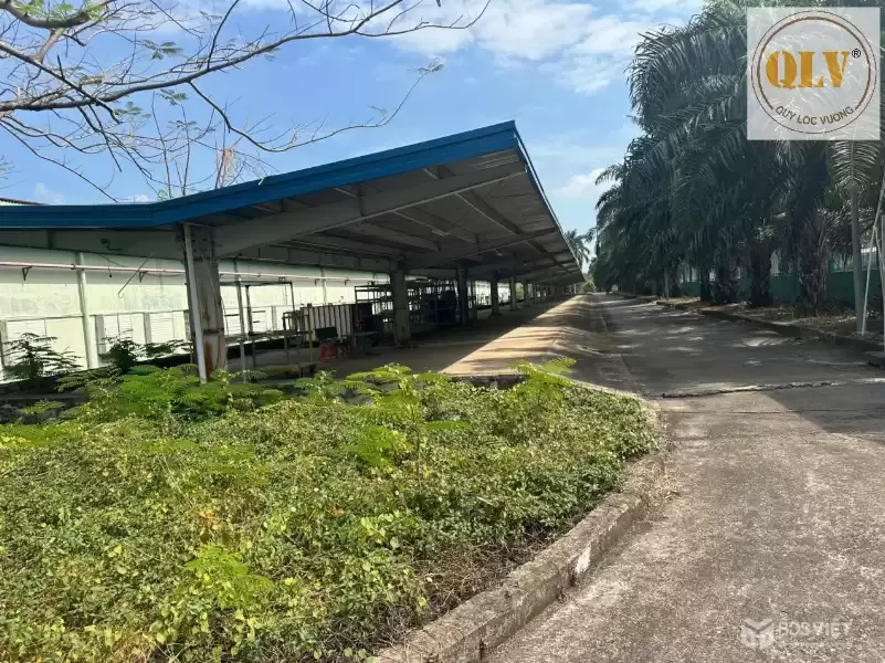 BÁN NHÀ XƯỞNG – KCN MỸ XUÂN, BR-VT – 21.439m²