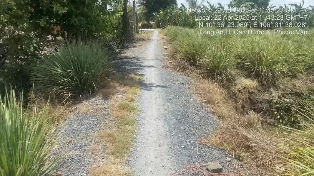 Bán đất thổ cư xã Phước Vân , Cần Đước dt 1825m2 đường xe máy giá 4,5 tỷ