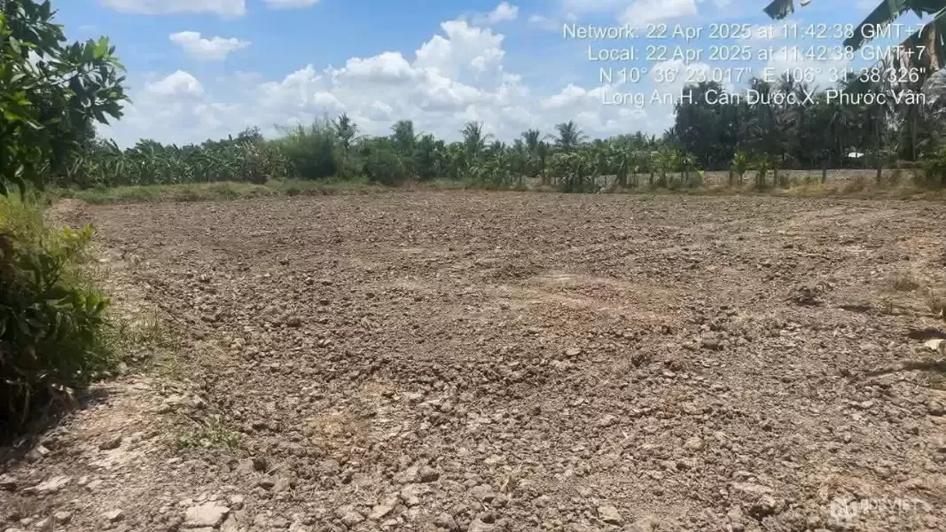 Bán đất thổ cư xã Phước Vân , Cần Đước dt 1825m2 đường xe máy giá 4,5 tỷ