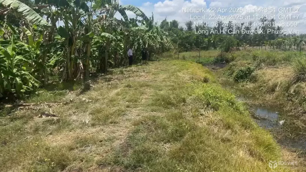 Bán đất thổ cư xã Phước Vân , Cần Đước dt 1825m2 đường xe máy giá 4,5 tỷ