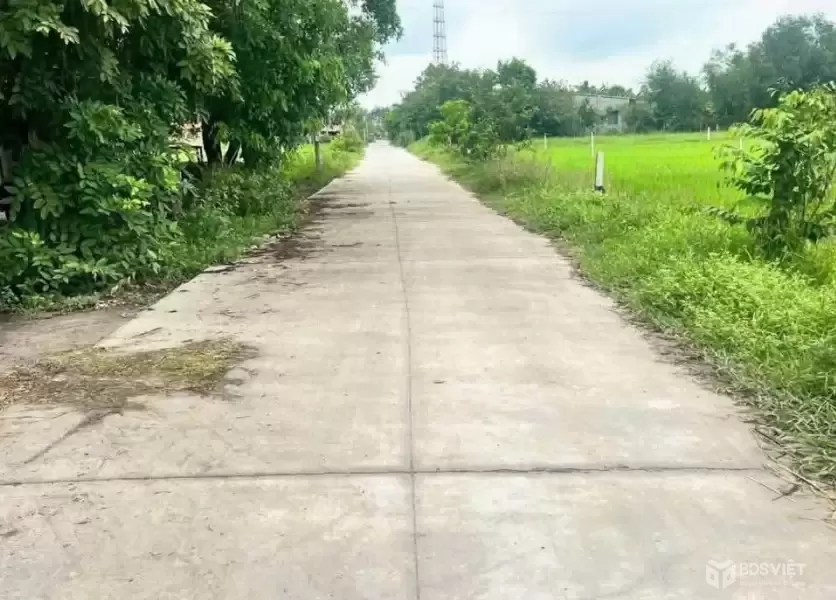 Bán đất thổ cư mặt tiền đường Xóm Chồi , xã Hậu Nghĩa dt 688m2 giá 3,65 tỷ