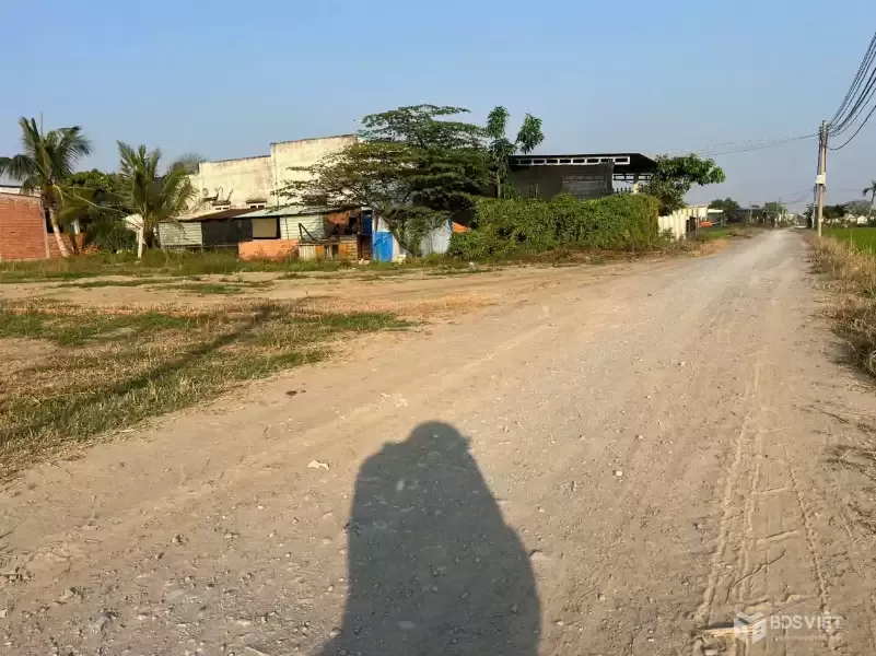 Bán đất thổ cư đường đá xanh xe hơi ở xã Hòa Khánh Nam , Đức Hòa dt 250m2 giá 1,3 tỷ