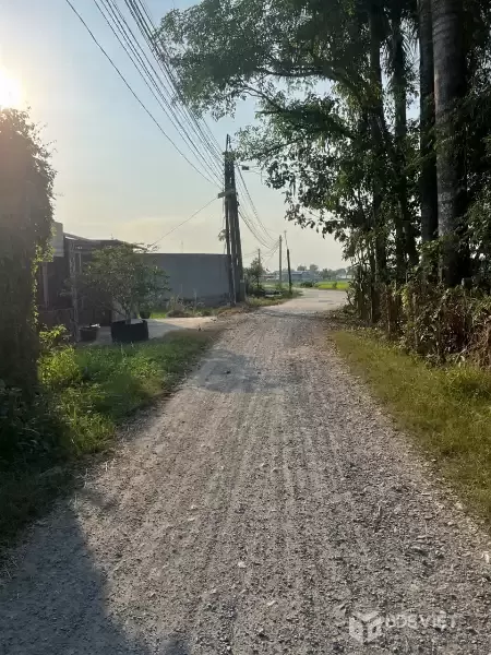 Bán đất thổ cư đường đá xanh xe hơi ở xã Hòa Khánh Nam , Đức Hòa dt 250m2 giá 1,3 tỷ