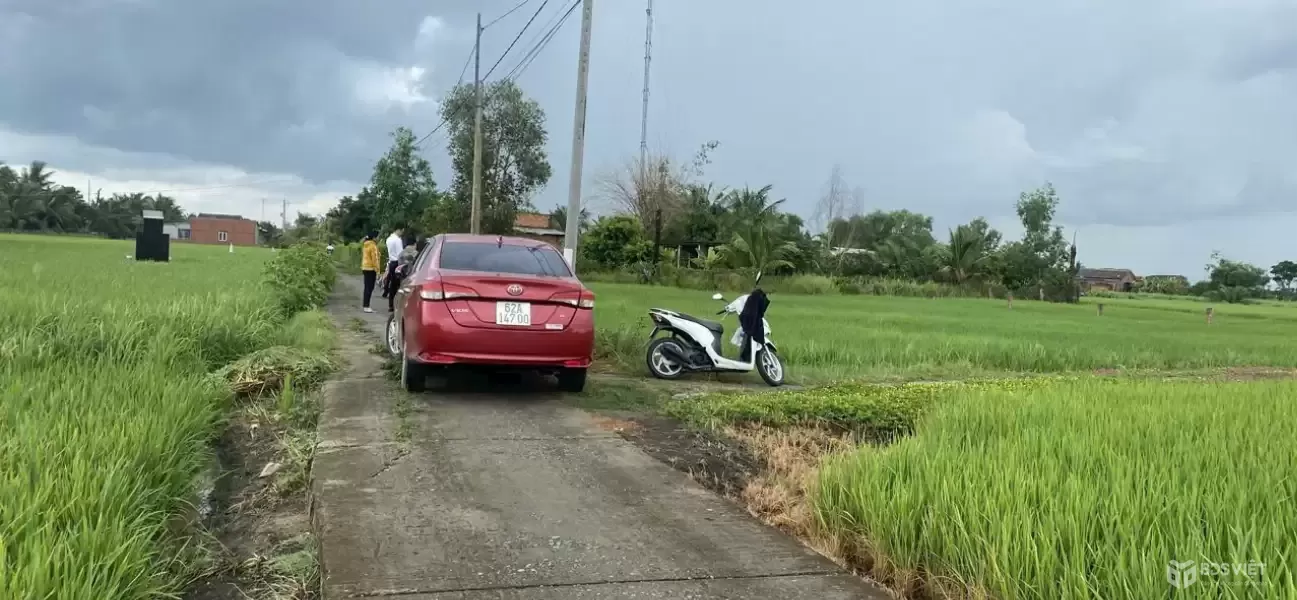 Bán 6 nền thổ cư đường beton 4m xã Tân Bình, Tân Trụ dt 150m2 giá 490 triệu 1 nền