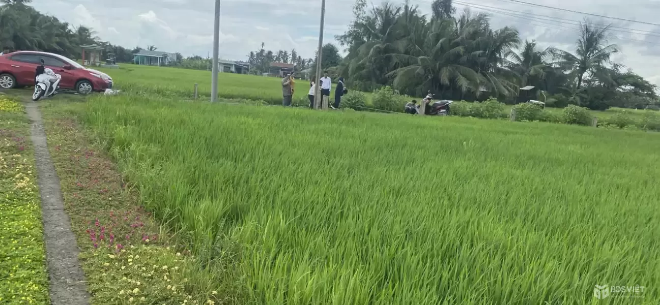 Bán 6 nền thổ cư đường beton 4m xã Tân Bình, Tân Trụ dt 150m2 giá 490 triệu 1 nền