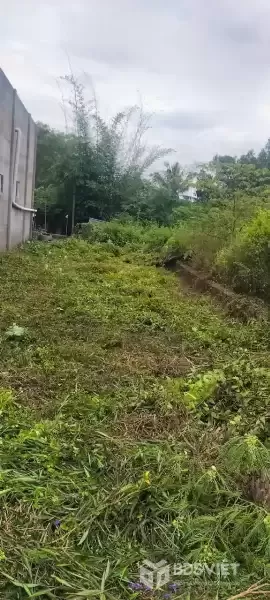 Bán đất thổ cư đường beton xe hơi xã Tân lân , Cần Đước dt 154m2 giá 850 triệu