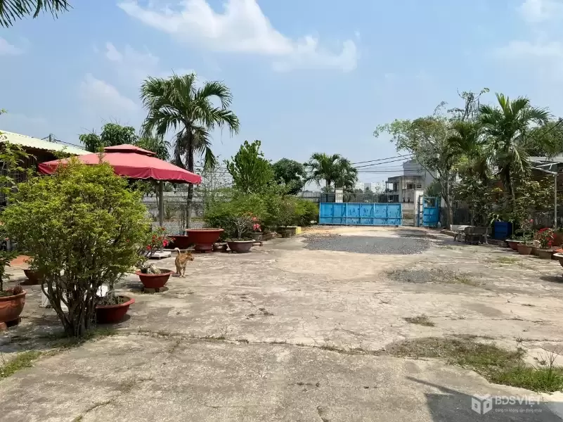 CẦN BÁN 1879M2 KHO VÀ 3 NHÀ CẤP 4 ĐƯỜNG VÀO XE TẢI